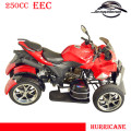 Новый дизайн 250cc Quad